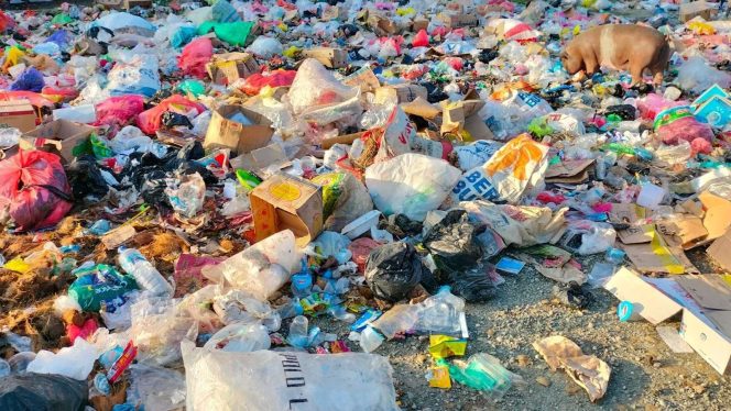 
					Banyak Orang Libur dan Belanja di Serui ; Masyarakat Pengunjung Pasar Aroro Iroro Serui Keluhkan Bau Sampah !
