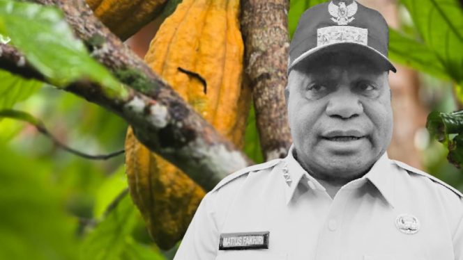 
					Gubernur Papua Matius Fakhiri Minta Eks Perkebunan Sawit Ditanami Kakao !