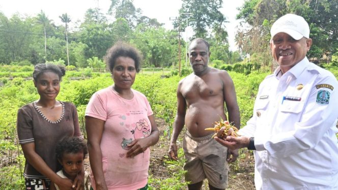 
					Berikan Apresiasi dan Dukungan Pengembangan Pertanian,Bupati Biak Numfor Kunjungi Petani Cabai di Distrik Biak Utara