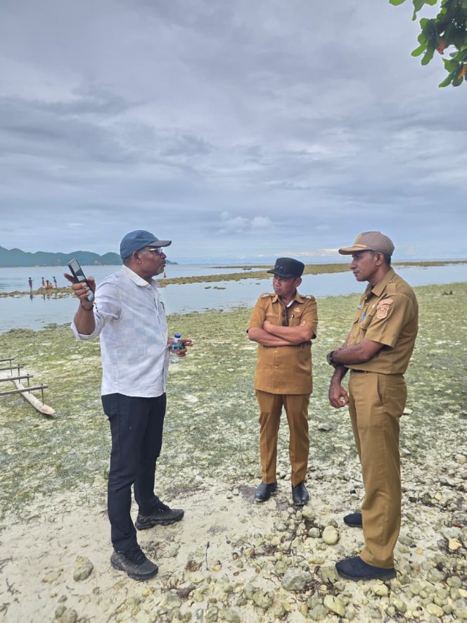 
					HNSI Provinsi Papua Hadirkan Pembeli Komoditi Rumput Laut di Yapen